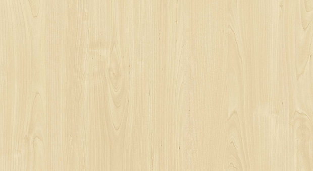 Береза карельська